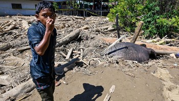 FOTO: Gajah Sumatra Mati Terseret Banjir di Aceh