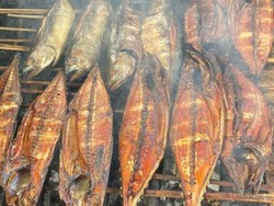 Ikan Salai Dapat Meningkatkan Imunitas Tubuh? Ini Faktanya