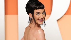Kronologi Sengketa Katy Perry Lawan Kakek Disabilitas 85 Tahun