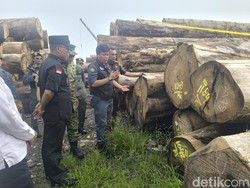 1.199 Batang Kayu Ilegal Sampai ke Gresik, Dirut PT BRN Jadi Tersangka