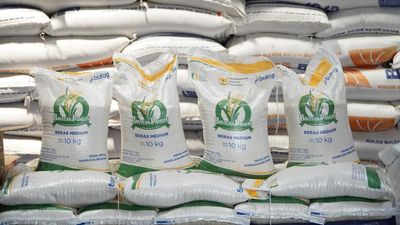 Kementan Pastikan Beras Medium Aman dan Surplus, Tak Ada Impor