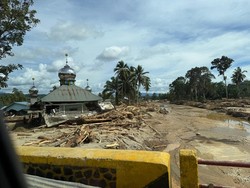 Menteri LH Beber Penyebab Batang Toru Tapsel Rusak Parah Usai Diterjang Banjir