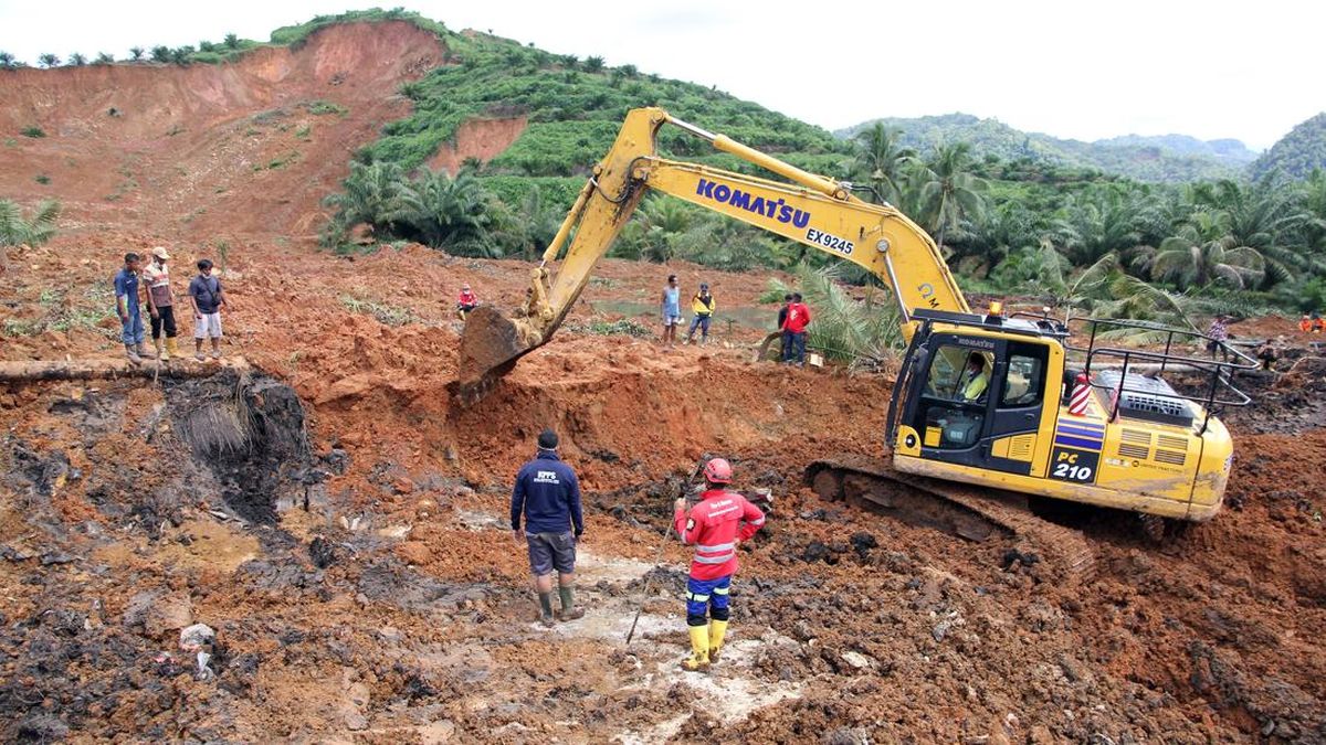 PDIP Ungkap Pesan Megawati soal Banjir Sumatra: Hutan Jangan Digunduli