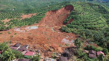 FOTO: Penampakan Bukit Longsor di Tapsel 'Telanjang' Ditanami Sawit