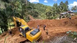 Berawal dari Lamunan, Ide Pandawara Ingin Beli Hutan Indonesia Banjir Dukungan