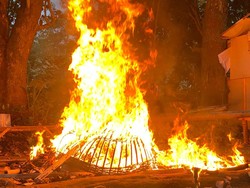 Polresta Malang Kota Bongkar Total dan Bakar Arena Judi Sabung Ayam