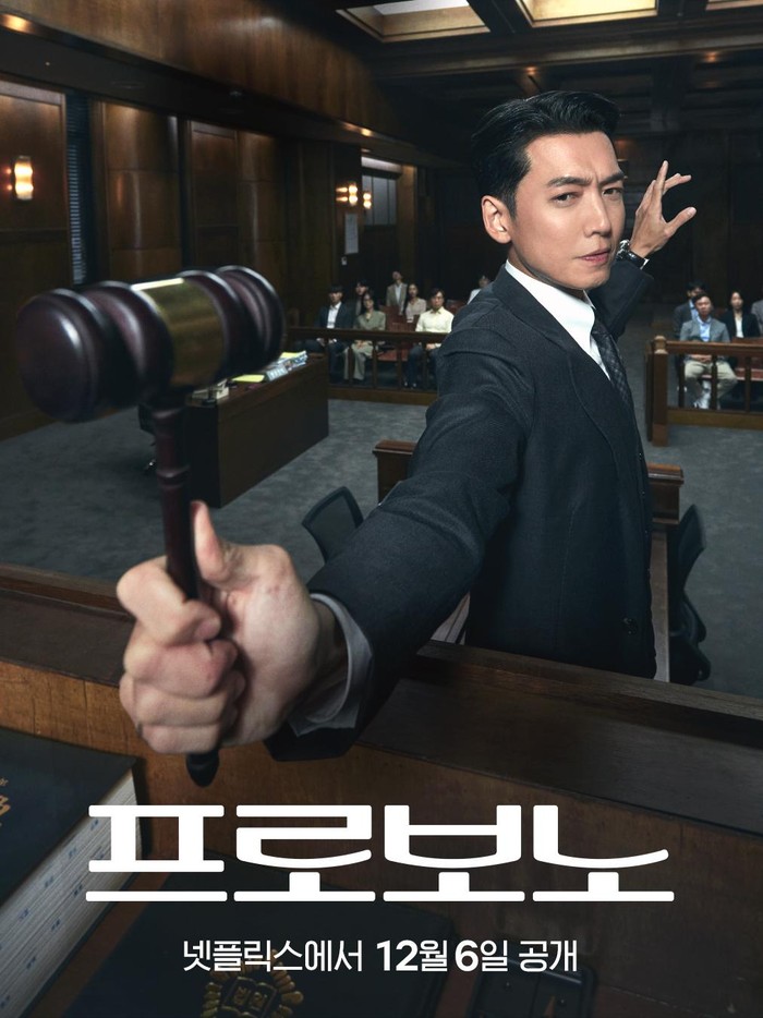 Pro Bono bercerita tentang hakim bernama Kang David (Jung Kyung Ho) yang dikenal materialistis dan ambisius dalam pekerjaannya. Karena suatu hal, Kang David harus berhenti dari profesinya dan beralih menjadi pengacara kepentingan publik di tim pro bono sebuah firma hukum yang terbengkalai.