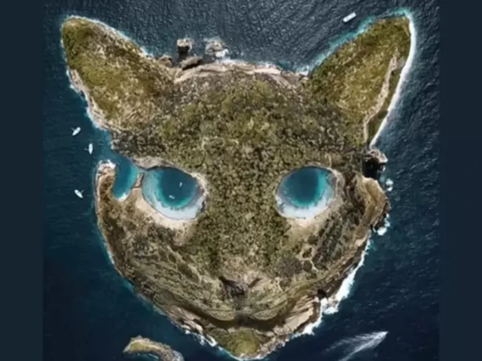 Terkadang sulit menjadi objektif dalam menilai diri sendiri, sehingga kita kebingungan dalam menentukan apa kelebihan dan kekurangan yang kita punya. Tapi kamu bisa mengetahui sifat aslimu saat dilanda masalah dengan mencoba tes kepribadian ilusi optik.