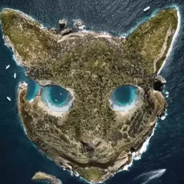 Tes Kepribadian: Gambar Pertama yang Dilihat Ungkap Sifat Aslimu saat Dilanda Masalah