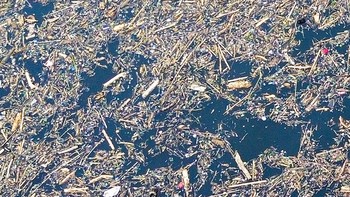 Penampakan Gelondongan Kayu Menumpuk di Jalur Banjir Bandang Solok