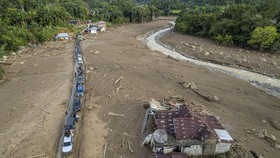 Update BNPB: Korban Tewas Banjir Sumatra Jadi 712 Orang, 507 Hilang