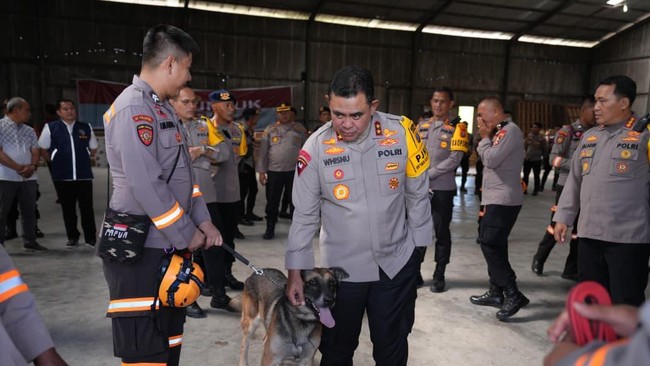 Anjing pelacak dengan kemampuan deteksi tinggi ini diharapkan mampu menjangkau area-area sulit yang tertutup lumpur tebal atau reruntuhan imbas banjir Sumut.