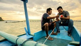 BRI Raih Anugerah Penggerak Sektor Keuangan atas Inisiatif Holding UMi