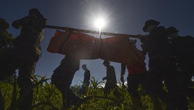 Update Banjir dan Longsor Sumatra: 753 Meninggal Dunia, 650 Hilang