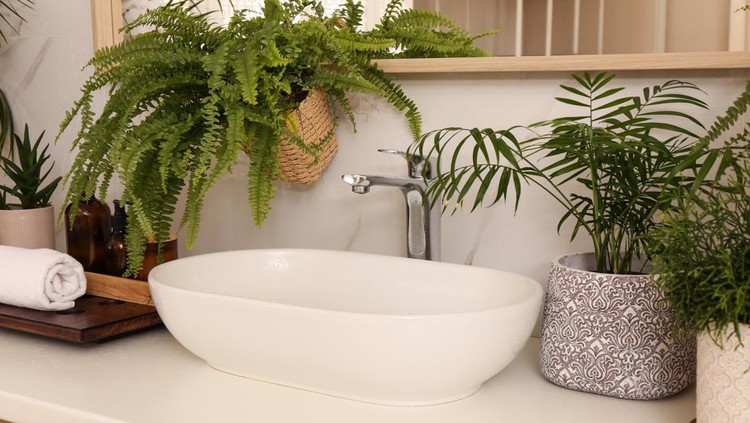 Counter with sink and many different houseplants near white marble wall