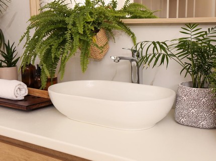 5 Tanaman Hias Pakis yang Bisa Diletakkan di Kamar Mandi