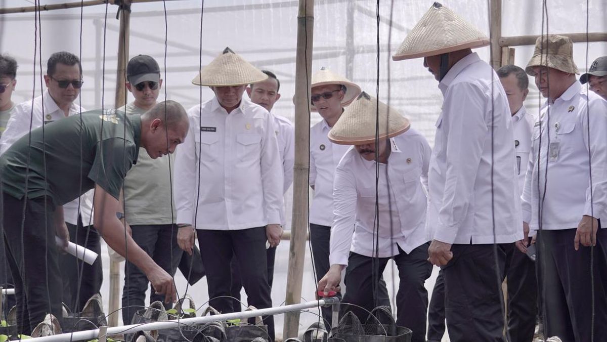 Demi Produktivitas, Menteri Agus Cek Lahan 'Idle' Lapas Terbuka Kendal