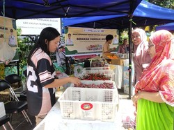 Sulsel Jaga Inflasi Terkendali Jelang Nataru Lewat Gerakan Pangan Murah