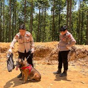 Reno, Anjing Pelacak K-9 Polda Riau Gugur saat Cari Korban Bencana di Sumbar