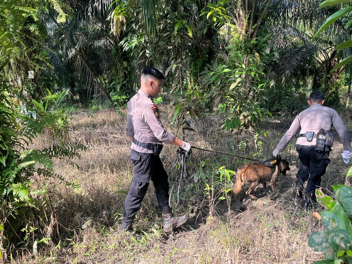 Reno, anjing K-9 Polda Riau gugur dalam tugas kemanusiaan di Agam, Sumbar.
