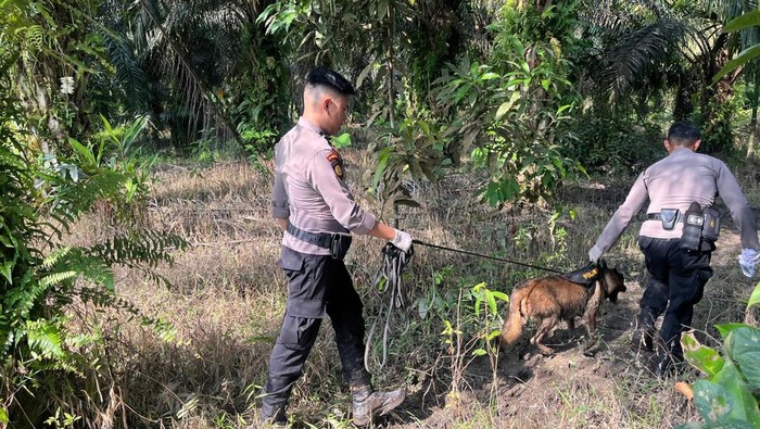 Reno, anjing K-9 Polda Riau gugur dalam tugas kemanusiaan di Agam, Sumbar.