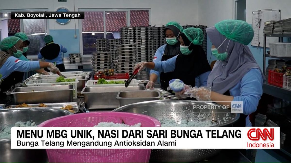 VIDEO: Menu MBG Unik, Nasi dari Sari Bunga Telang