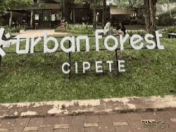 Urban Forest Cipete, Oase Hijau Gratis di Dekat Stasiun MRT Jakarta