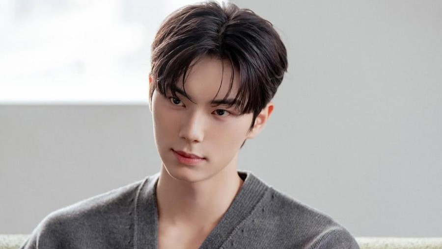 Aktor Korea Selatan Lee Chae Min