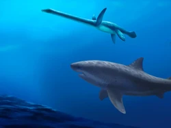 Studi Ungkap Ukuran Hiu Raksasa pada Zaman Dinosaurus, Fosilnya Ada di Negara Ini