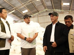 Pemerintah Bangun Ulang 33.000 Ha Sawah di Sumut yang Terendam Banjir