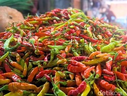 Jelang Natal dan Tahun Baru, Harga Cabai Rawit di Tarakan Makin Pedas