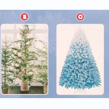 Tes Kepribadian: Pilih Pohon Natal Favorit! Pilihanmu Bisa Ungkap Cara Kamu Mengelola Stres