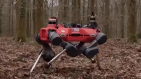 Aksi Robot Anjing Buatan Oxford Lindungi dan Kelola Hutan