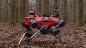Aksi Robot Anjing Buatan Oxford Lindungi dan Kelola Hutan