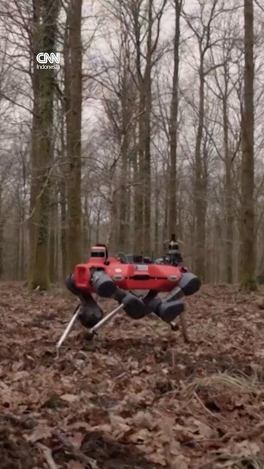 Aksi Robot Anjing Buatan Oxford Lindungi dan Kelola Hutan