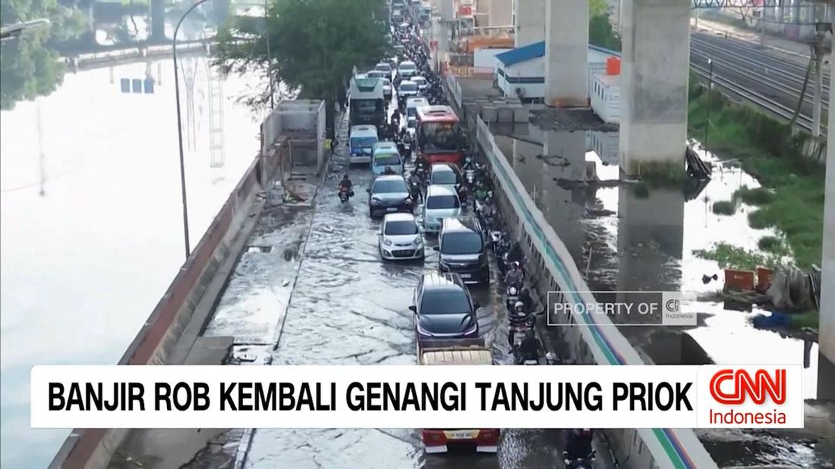 VIDEO: Banjir Rob Kembali Genangi Tanjung Priok