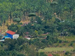 TNI Kirim Bantuan Metode Airdrop untuk Warga Aceh Tamiang yang Terisolasi Banjir