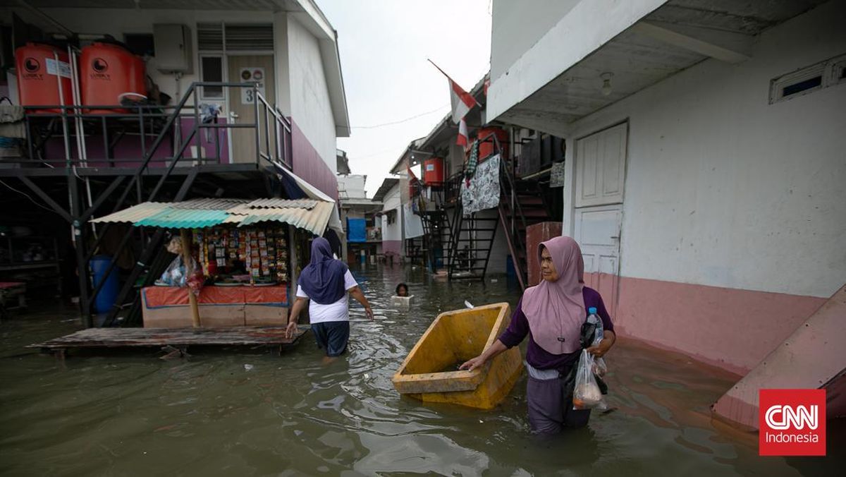Banjir Rob Terjang Wilayah Pesing hingga Jelambar Baru Jakbar