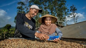 1,2 Juta AgenBRILink Jadi Instrumen Andal BRI Layani Penjuru Negeri