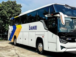 Liburan Akhir Tahun Lebih Irit dengan Promo Damri Desember 2025