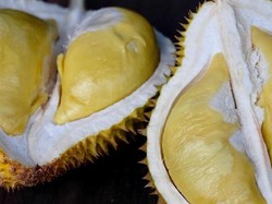 Mengenal Durian Jemongko, Raja Buah Asli Kalimantan Barat