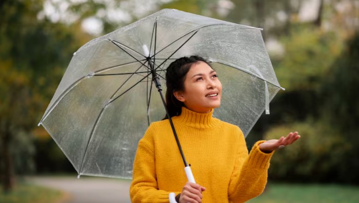 Kebiasaan Wajib Bawa Payung Saat Cuaca Tidak Menentu Untuk Cegah Mudah Sakit/Foto: freepik.com/freepik