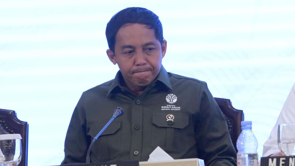 DPR Soroti Kinerja Menhut Raja Juli Imbas 3 Bulan Karhutla Tak Padam