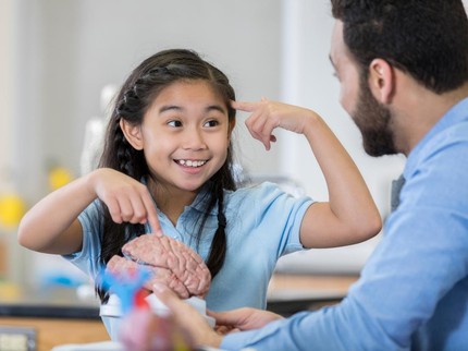 Otak Kanan Anak Disebut Lebih Dominan, Apa Artinya?