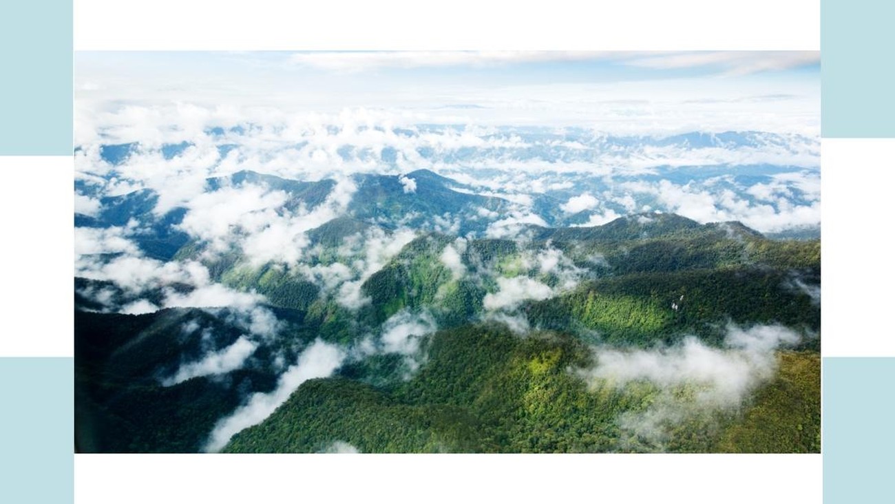 Nada dari Tanah yang Luka: Musik Timur di Tengah Perampasan Ibu Bumi
