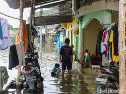6 RT di Kepulauan Seribu hingga Jakut Masih Terendam Banjir Rob Malam Ini