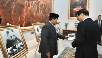 Prabowo Pamer Bayi Panda 'Satrio' yang Baru Lahir ke Ketua MPR China