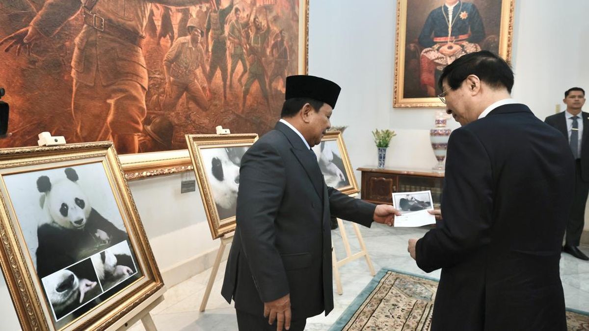 Prabowo Pamer Bayi Panda 'Satrio' yang Baru Lahir ke Ketua MPR China