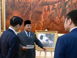Ini Potret Bayi Panda Satrio Wiratama yang Namanya Diberikan Prabowo