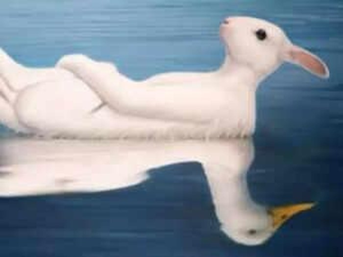 Gambar unik berikut ini bisa menunjukkan apakah kamu sosok yang punya IQ tinggi atau si paling karismatik.